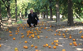 Türkiye, Kanada arasında fotoğraf bağı