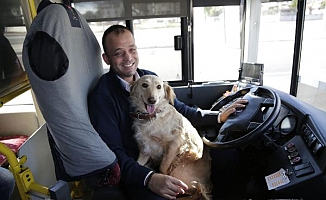 Üşüyen köpek yolcularla şehir turu attı