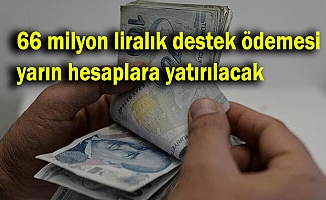 Bakan Pakdemirli'den müjdeli haber!