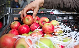 Elma ticaretinde 'Habur' hareketliliği