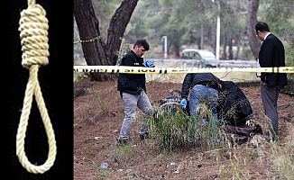 Ormanda kendisini ağaca astı