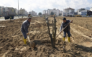 Şafak Mahallesine portakal bahçesi