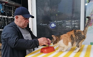 Sokak kedileri için dükkanını kapatmıyor