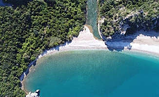 Caretta carettaların sahillerinde 'koronavirüs' sessizliği