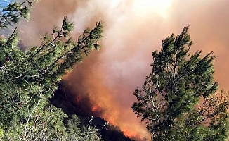 Gazipaşa’daki orman yangını 9 saatte kontrol altına alındı
