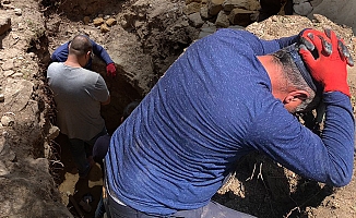 Önce fotokapana sonra jandarmaya suçüstü yakalandı!