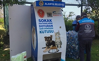 Sokak hayvanlarına 80 yeni beslenme ünitesi