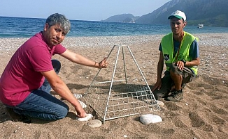 Çıralı'da bu yılın ilk caretta yuvaları