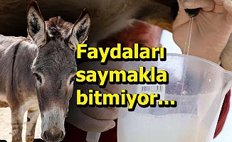 Litresi 100 lira!