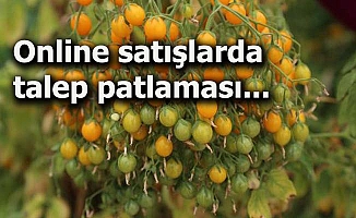 Minyatür sebzelere 'korona' artışı