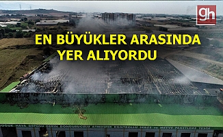 80 milyonluk yangın!