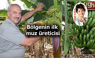 Muz serası orta boy bir fabrikadır