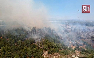 Antalya Aksu'da orman yangını