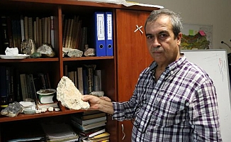 Antalya ve Konya'da 500 milyon yaşında iki fosil bulundu