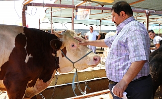  Kurbanda kesim yerlerinde randevu sistemiyle çalışılacak