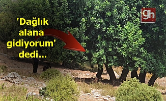 Ağaca asılı cesedi bulundu!