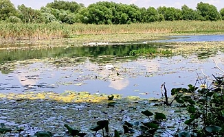 Antalya'nın su deposu Kırkgöz'de, 'çekilme' ve 'kirlilik' uyarısı