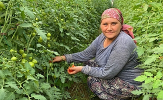 Kadın çiftçiler: " Devlet teşviklerinden yararlanıp tarımı hep birlikte yaşatalım"