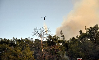 Kemer’de orman yangını  2 saatte söndürüldü