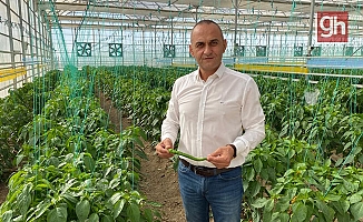 Türk mühendislerden yerli tohum hamlesi