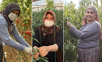 Kadın çiftçiler kısıtlamada da üretime devam etti