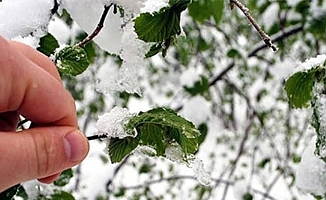 Antalya'ya kar geliyor, meteorolojiden don uyarısı!