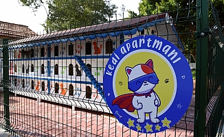 DokumaPark’a kedi apartmanı  