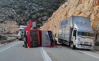 Sebze yüklü kamyon devrildi