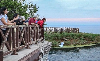 Hıdırellez dilekleri, kısıtlamayı unutturdu