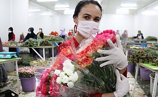 Kesme çiçek sektörü pandemi krizini fırsata çevirdi