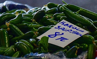 Kilosu 60 kuruşa düşen salatalık, pazarda 8 liradan alıcı buldu