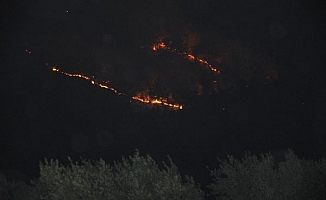 Gazipaşa’da 4 farklı noktada orman yangını