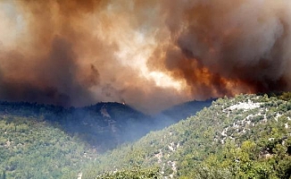 Manavgat'ta 4 ayrı noktada orman yangını 