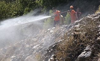 Antalya'da sahile yakın dağlık alanda çıkan yangın ekipleri alarma geçirdi