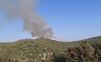 Demre'de de orman yangını çıktı