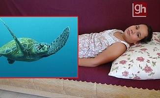 10 yaşındaki kız çocuğunu deniz kaplumbağası ısırdı