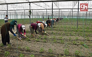 Antalya’da son 5 yılda çiftçi sayısı 20 bin arttı