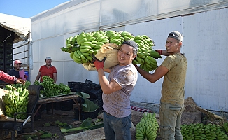  Batı Akdeniz ihracatı 2 milyar 285 milyon dolar oldu