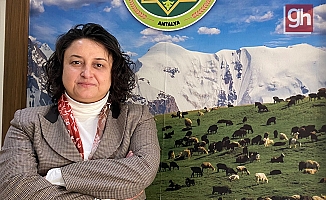 Küçükbaş hayvan yetiştiriciliğinde Antalya, Türkiye’de 2. sırada