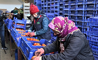 Sebze ve meyvede Ocak ayının son 4 yılın ortalaması