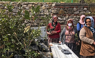 Büyükşehir Akseki’de defne fidanı dağıtıp defne sabunu yapımını anlattı