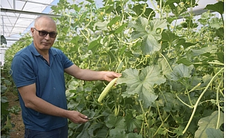 Antalya'da üretilip kilosu 30 TL’den Almanya’ya gidiyor