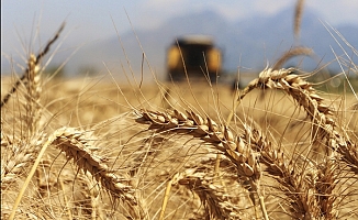 Antbirlik Başkanı Yavuz, buğday alım fiyatını açıkladı