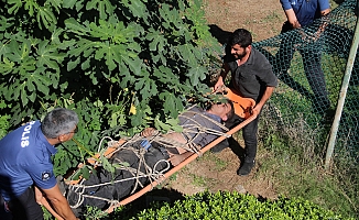 Tuvaletini yaparken falezlerden düştü!