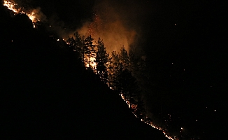 Orman yangınına yakın yerleşim yeri boşaltıldı