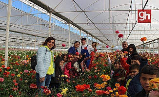 Aksu'da Anaokulu öğrencileri çiçek hasadında