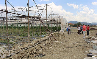  Hortum ve dolunun vurduğu üreticiye sera naylonu desteği
