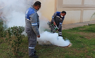  Sineksiz yaz için ilaçlama ordusu iş başında