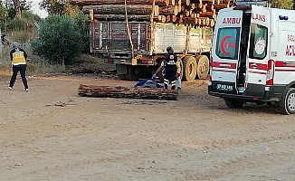 Başına tomruk düşen adam hayatını kaybetti