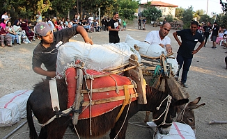 Eşeğe saman balyası yüklemek için kıyasıya yarıştılar